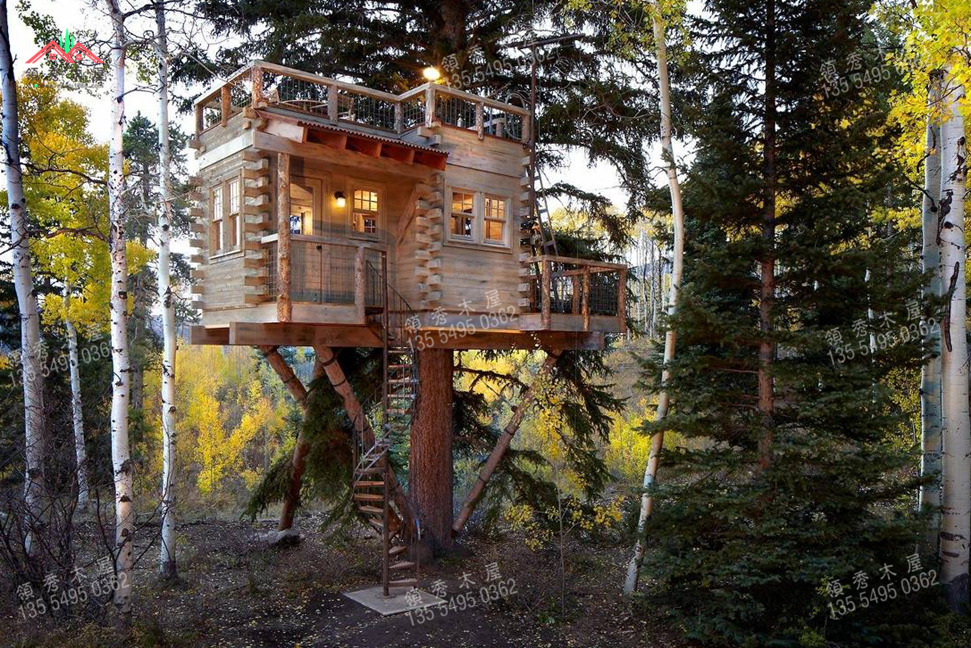 在树上建小木屋(图2)