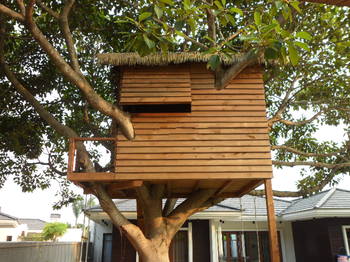 在树上建小木屋(图3)